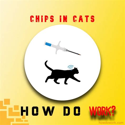 how to checl for an rfid chip on a cat|microchips under cats.